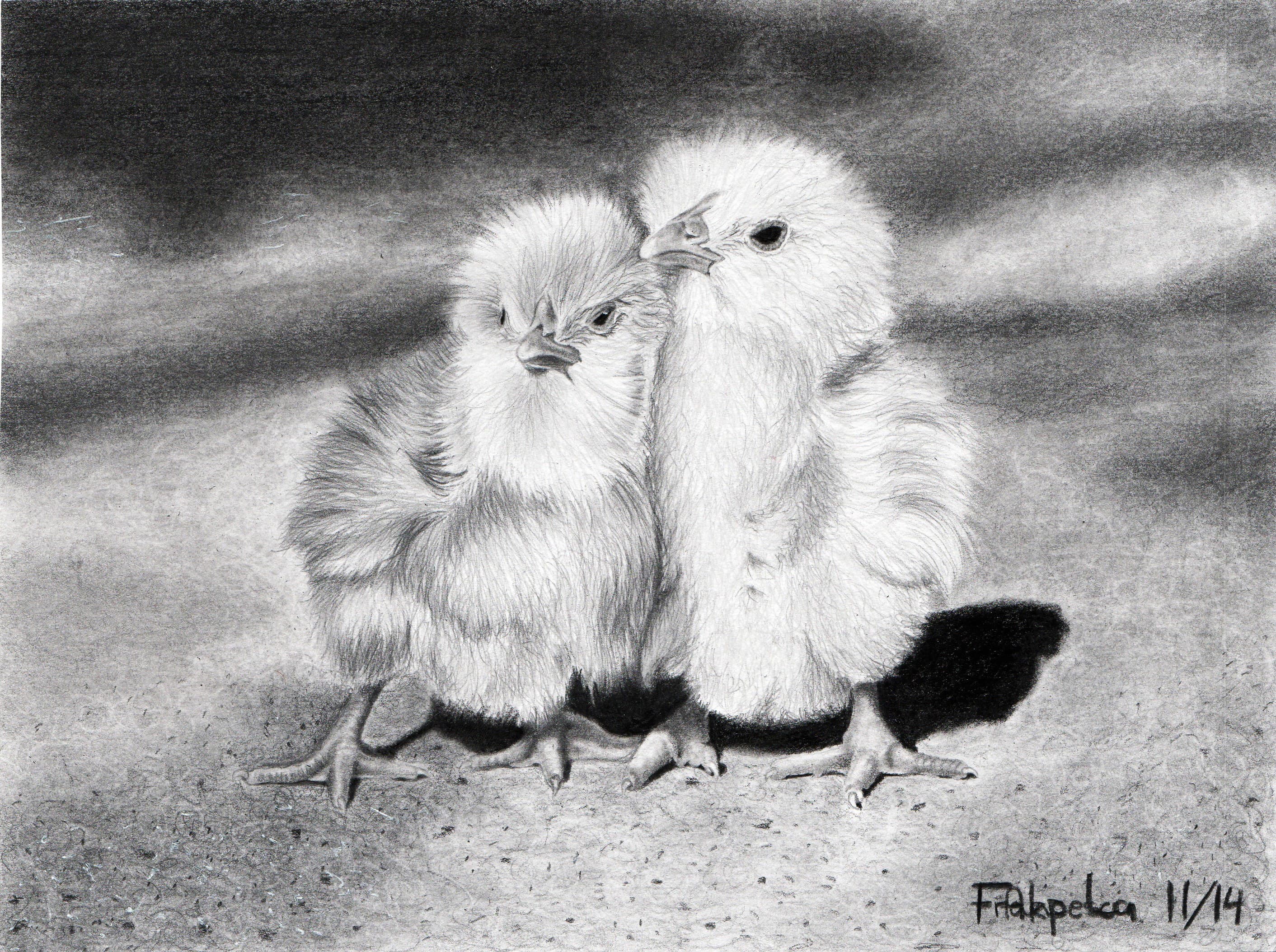 Two hugging baby chicks
