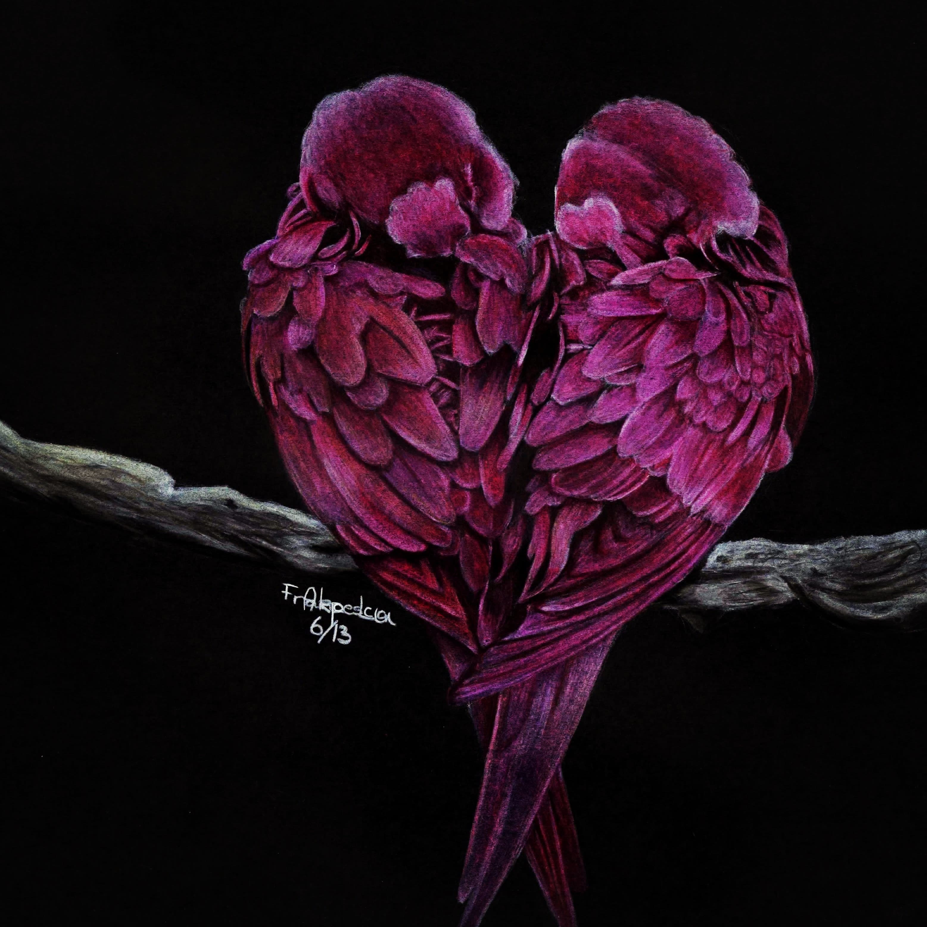 lovebirds