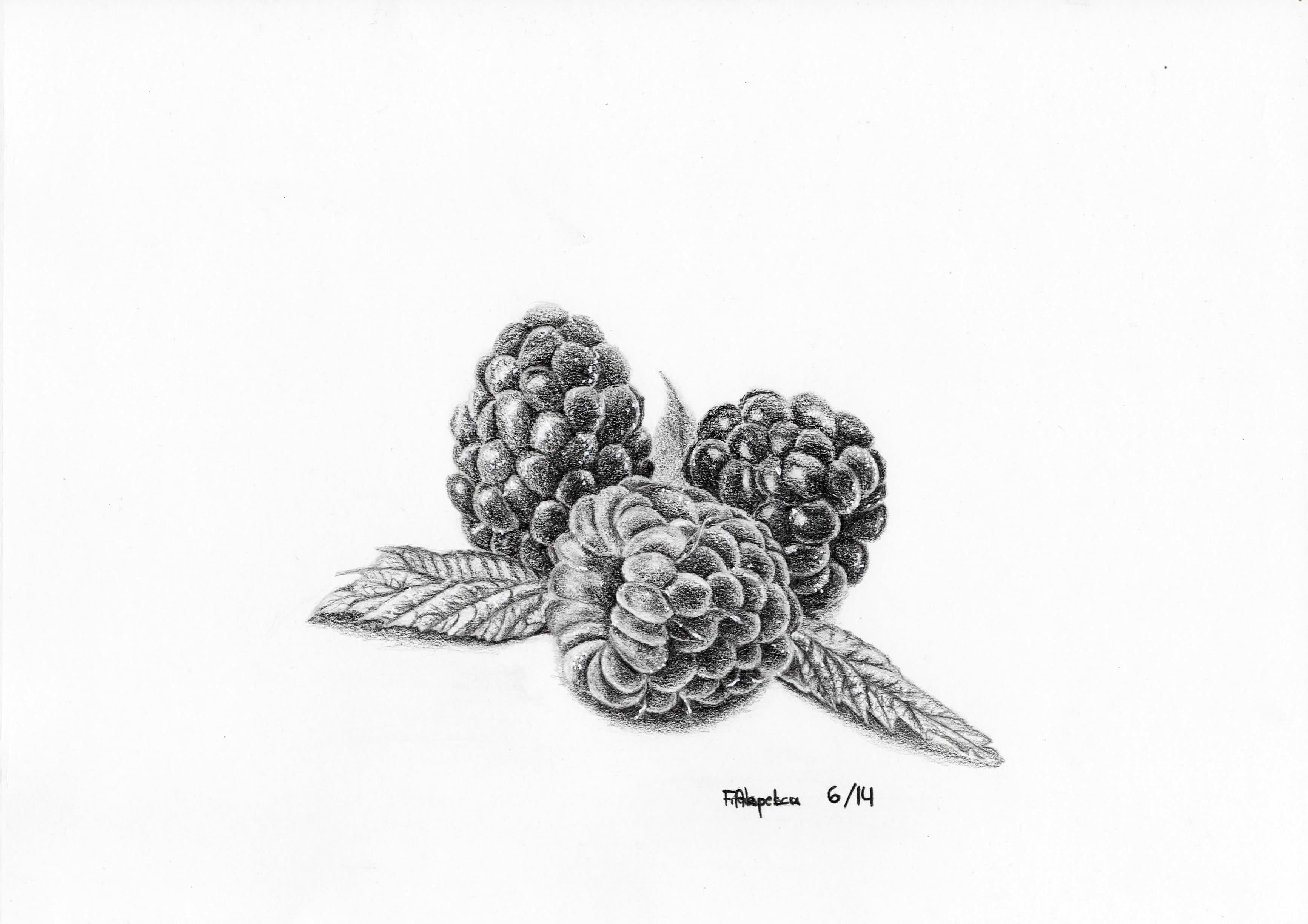Three raspberries