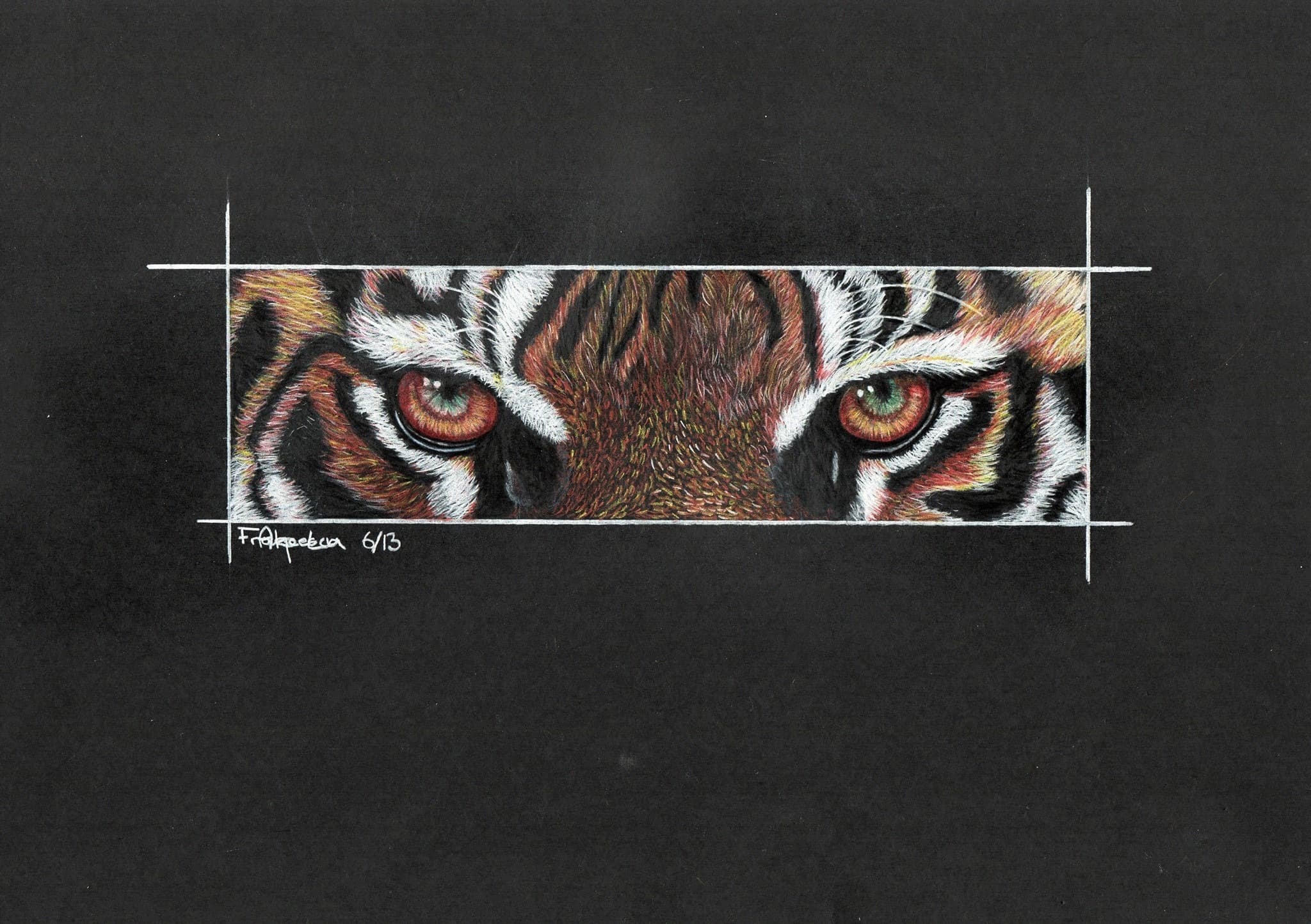 Tiger eyes on black paper